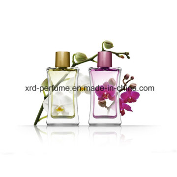 Perfume modificado para requisitos particulares de la señora de la moda de la venta caliente